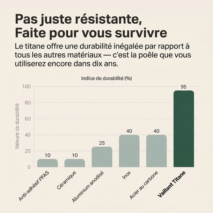 Vaillant Titane Ensemble Choix du Chef